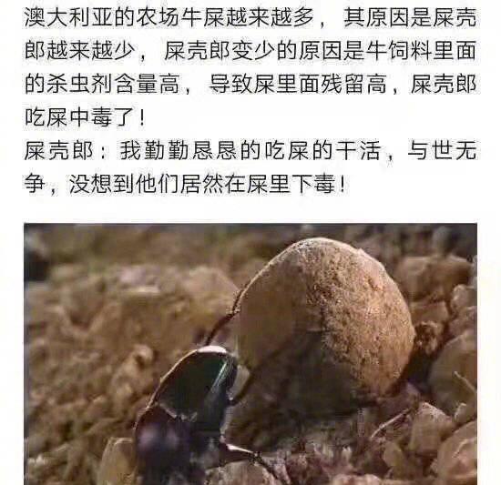 想知道有没有人真的会剪少儿沙雕型发型