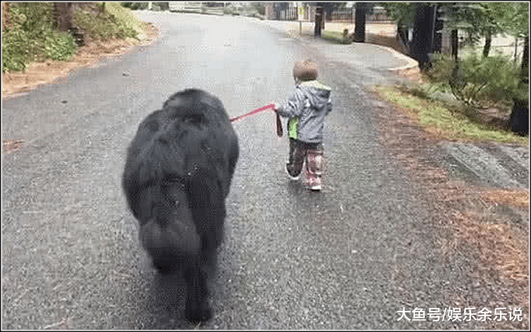 小儿子一大早偷跑出门，中午牵着“动物”回家，走近看清不淡定了
