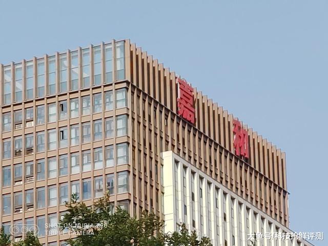 努比亚Z20对上华为P30 Pro 拍照谁最强？