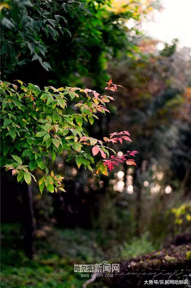 又是个好天儿！今天跟昨天一样热热热｜白天最高27℃，风力较大