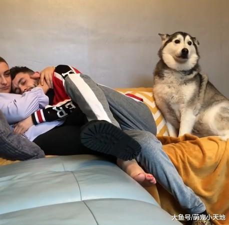 最強小三！月月不爽爸黏女友，垮臉伸狼爪：給我分開！