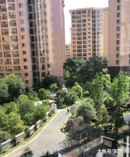 买房到底选哪一层好，为什么我家住20多层，家里蚊子还是到处飞？