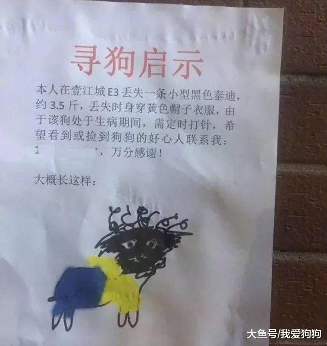 这些寻宠启示真的不是开玩笑的吗？感觉找到的几率十分渺茫啊