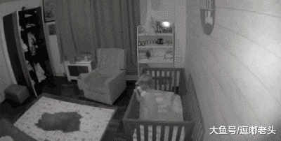 有了狗狗带娃，妈妈晚上可以安安心心的睡觉了