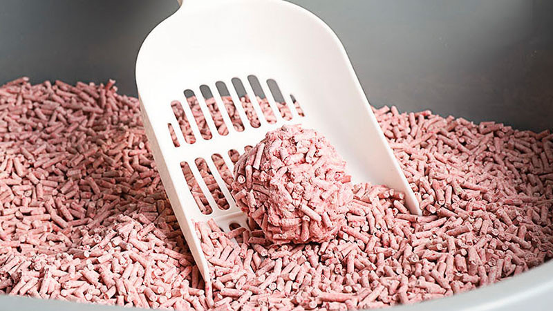 猫砂哪种最好用，水晶猫砂很方便，松木猫砂对喵有好处