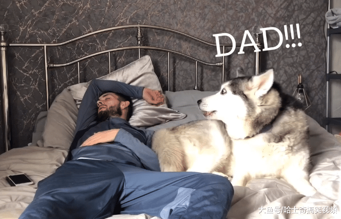 男子养了两个“小情人”，女主人很心塞，谁还不是宝宝呢？