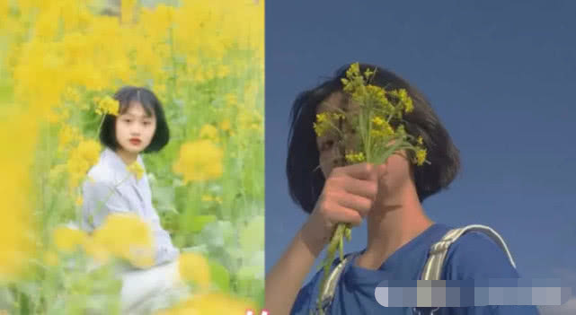 最近“油菜花拍照”很火，找准拍摄技巧，路人变网红不是梦！