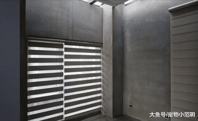 两夫妻奋斗15年买的190㎡的房子，丈夫却说想要装修成毛坯房，装修出来后妻子楞了！