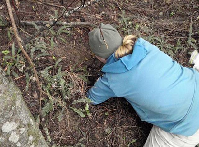 女子在山里发现大鸟蛋，本想收入囊中，见到鸟妈妈瞬间打消念头