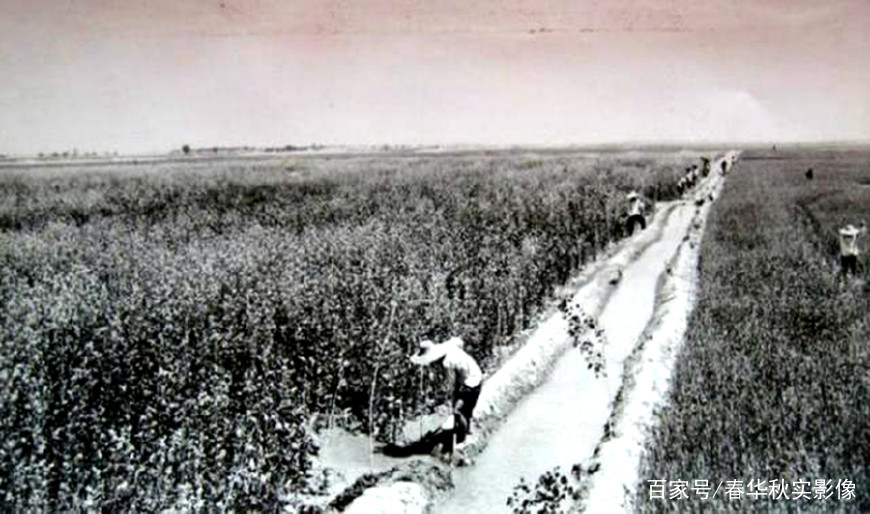 70年代农业生产队的老照片 真实记录了农村大集体火热的劳动场面