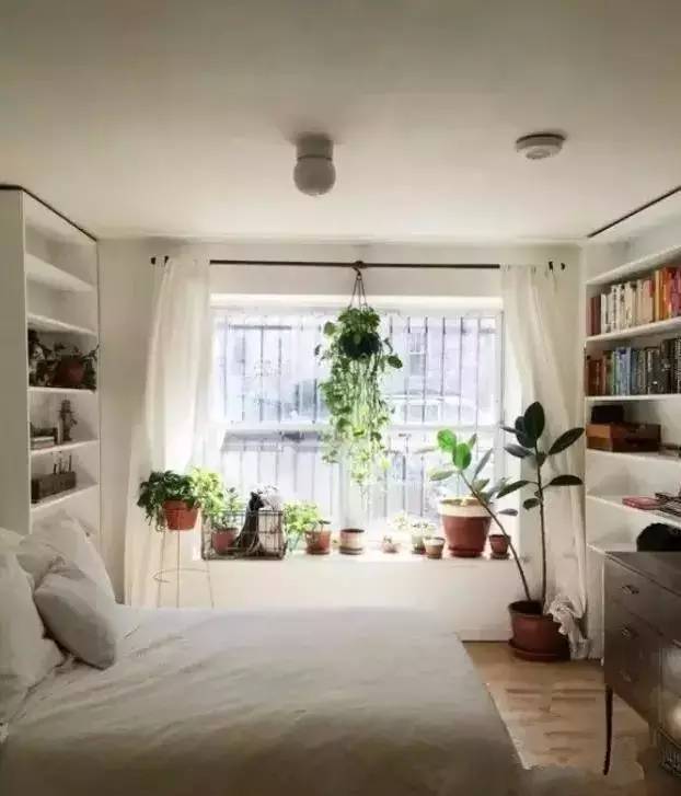 卧室摆放绿植有讲究，马虎不得！