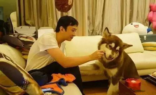 盘点各大明星和宠物之间不得不说的故事！