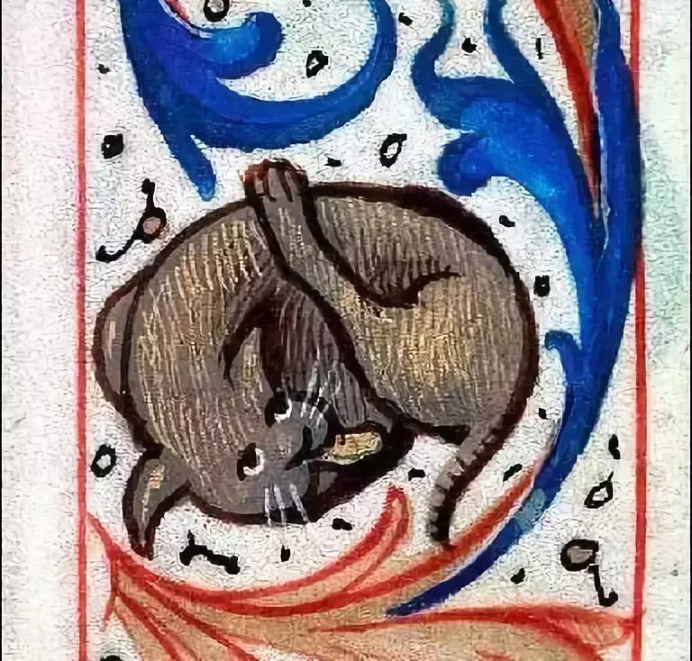 中世紀的藝術家，是不是對貓有什么誤解？