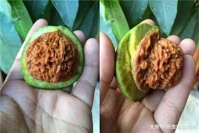 「文玩」\文玩市场上看到这几个摊位,千万不要靠近\