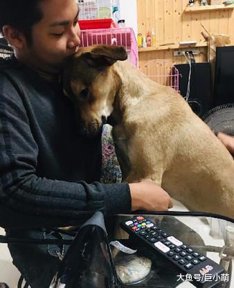 冰箱里的食物经常失踪，听见怪声开门发现，原来是一人一狗在偷吃