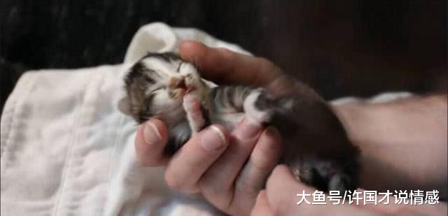 回家太累倒床就睡，半夜才想起忘关门，客厅竟多了五只不速之客