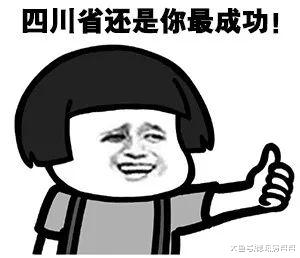 成德市域铁路S11线新消息，《成都平原城市群轨道交通规划》通过专家评审