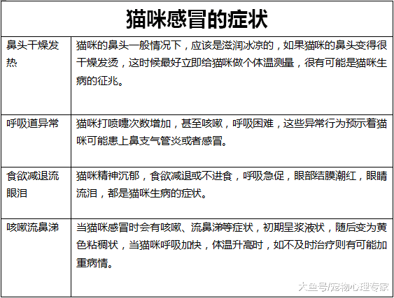 辟謠！貓咪有毛不怕冷？冬季防寒有誤區，保暖不光是穿衣這么簡單