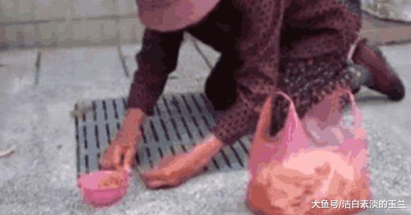 年迈老太太趴在下水井盖旁将食物往里放，上前看清后打119了