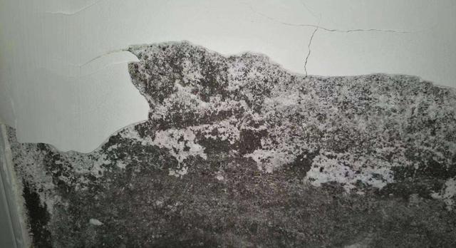 房子装修完工后反碱怎么办？老师傅教你如何解决，太实用了