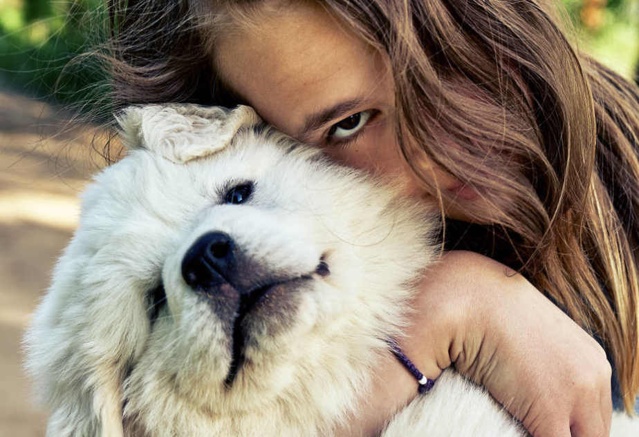 大比利牛斯山脉犬以其大尺寸，模糊的外套和忠诚的风度而闻名