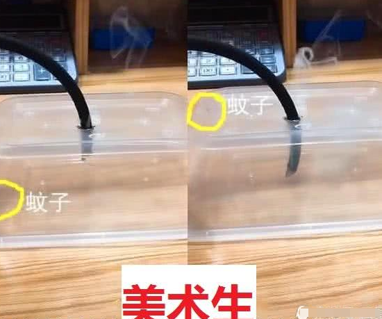 理科生：我抓蚊子够狠，文科生：直接熏它，体育生：都看我的