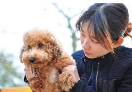 缺钙不是老年犬的特有，成年犬也会缺钙，主人要知道怎么补