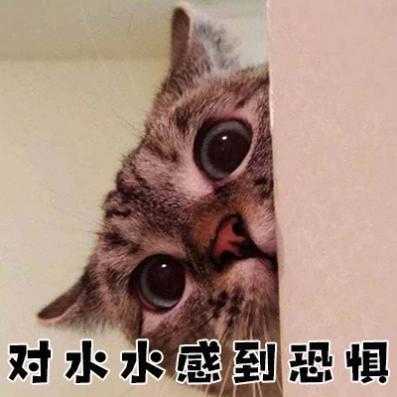 貓咪因為“高冷”才不愛喝水？你們都猜錯啦！