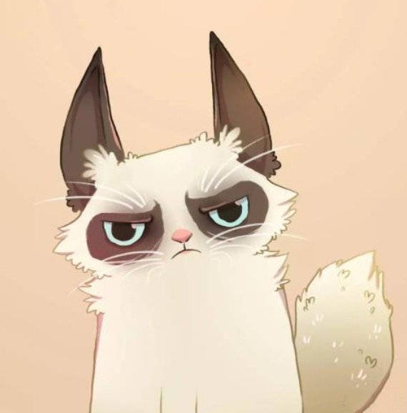 表情包“不爽猫”去世，我们对猫的热爱仍在延续