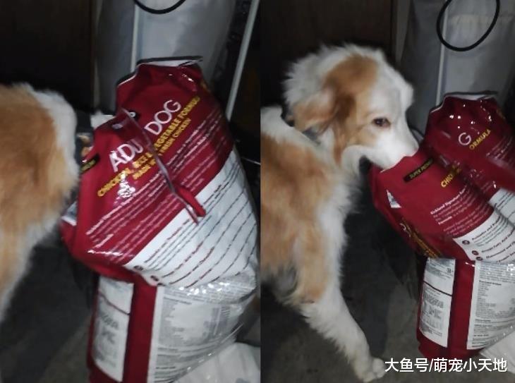 仓库半夜有怪声！无头汪包子脸含泪皱眉：偶是无辜的