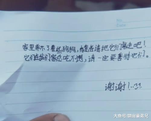 捡到箱子里面竟是小狗，还附带一封信，看完内容气坏了