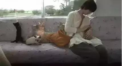 流浪猫为了不再被抛弃，努力表现讨好主人，看完泪目