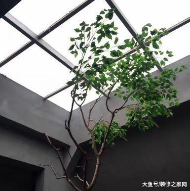 把旅行的錢攢下來買了三層小樓，朋友都不敢來家里做客