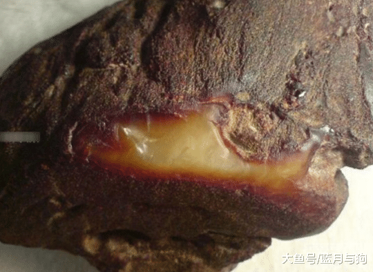 男子挖水井时发现一块石头，经过鉴定之后，村民纷纷带着工具开采