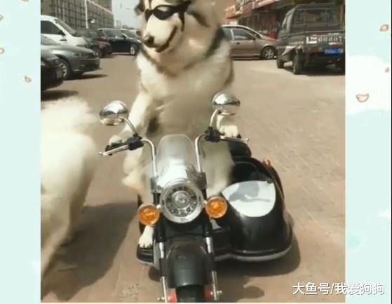 過年回家了，回家交通工具大詳解，總有一款適合你