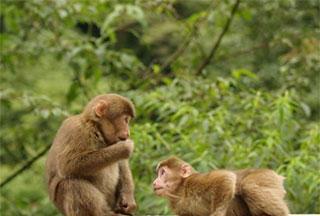 爆笑GIF图：如果你想和女朋友分手了可以试试这个大招!