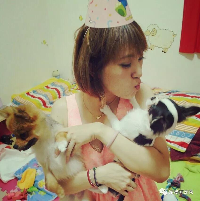 狗狗超爱吃手手，女主人自制头套，网友笑喷：你这是血滴子