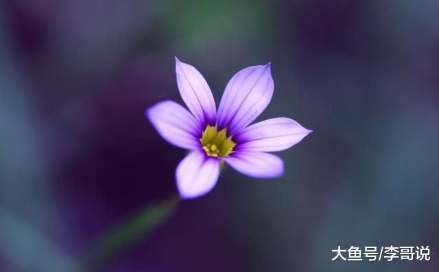 一个老人告诫我：命苦的人，往往会遇到这四件“怪事”