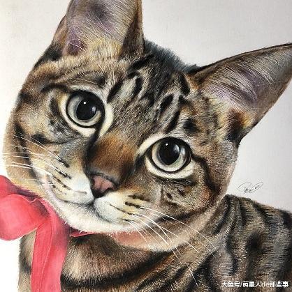 日本的小伙画了几只猫，网友们：压根看不出来是画的！