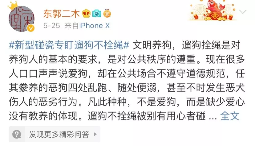 碰瓷界的跨物种专家：他只挑狗狗当对手