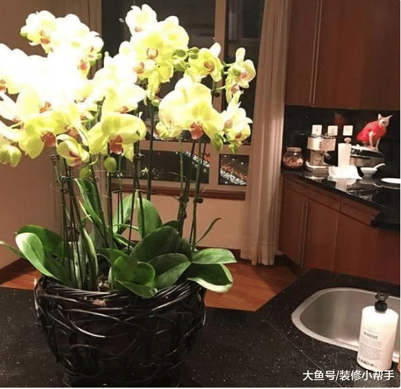 明星霍思燕的房子，内部装修非常简单，赚了那么多钱也不换房子