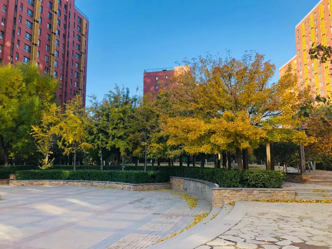 均豪人物志 | 用溝通叩開項目管理的大門