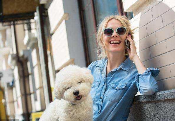 原以为养比熊犬很简单，但养了之后才发现，这6件事真让人费心！