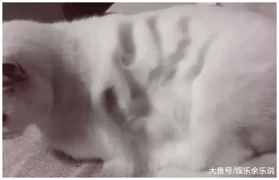 女子认为自家猫咪是虚胖，直接拍了一巴掌，拿起一看，傻眼了
