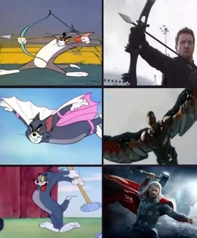 知道吗，你家的猫还有很大的空间可以胖