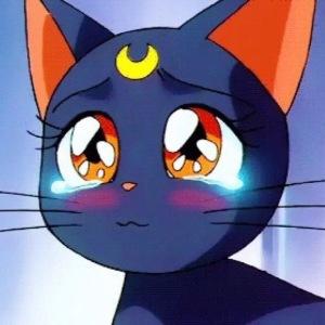 黑猫：凭什么歧视我长得黑！用你粉底液了？