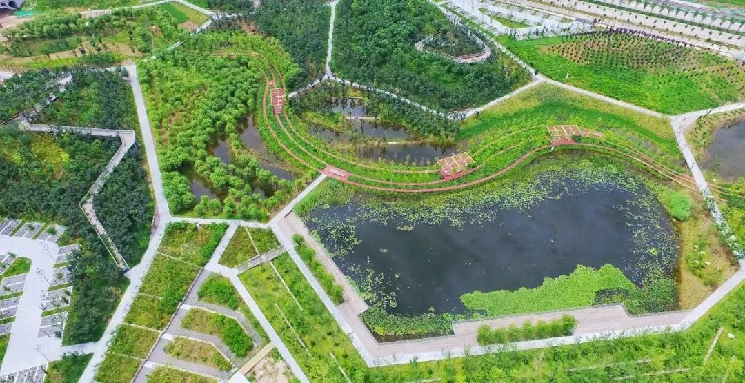 楼市观察 | 一条“大西安新中轴”，城市先锋配套下的都会雄心！