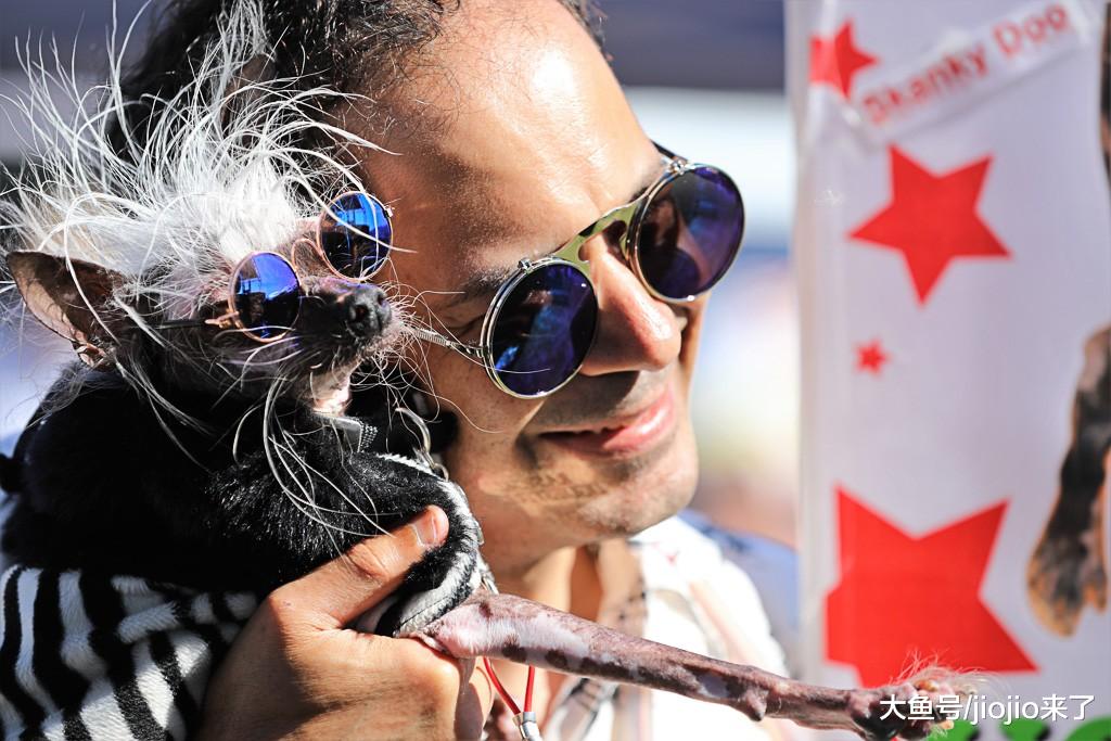 世界最丑狗大赛如期举办，一个看似荒诞的比赛背后却有更深的意义