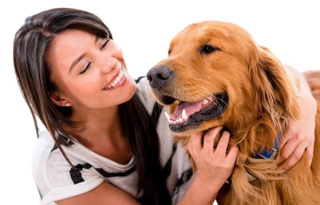 养狗, 若狗狗对你有这些表现, 恭喜你, 它把你当主人了!