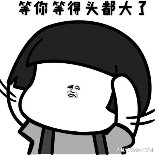 李若彤晒健身照片，秀出完美身材美过当年小龙女，看来绝对不能原谅尹志平！